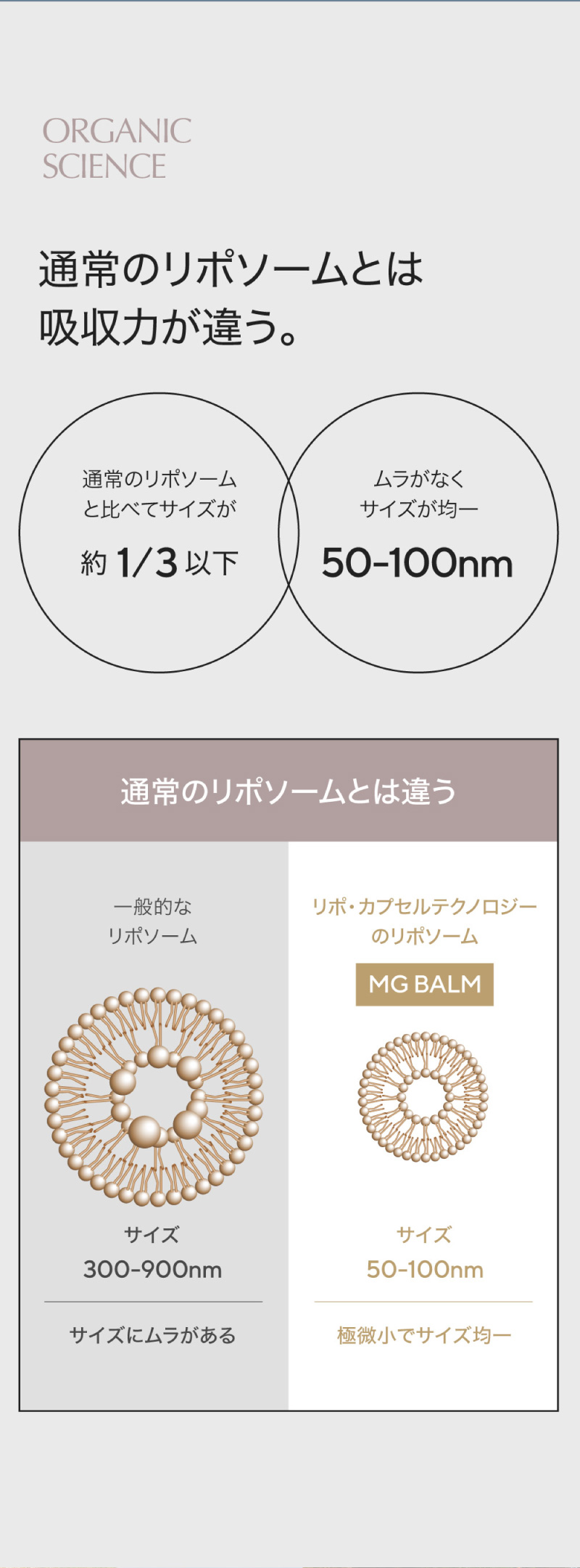 マグネシウムバーム マグバーム マグネシウムオイル オリジナル お試し