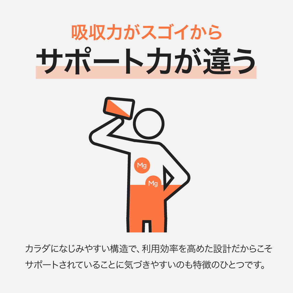 マグネシウム サプリ マグリポ 1箱 (30包) リポソーム ビタミンD 超