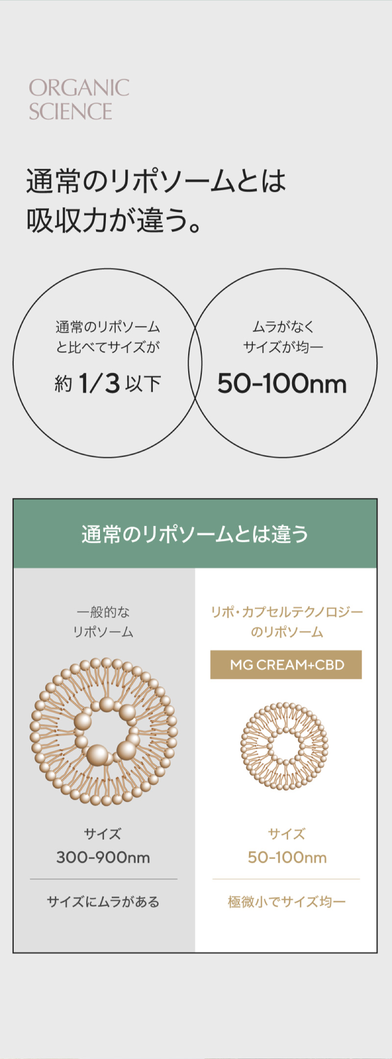 CBD バーム MG Cream + (マグクリームプラスCBD) 60g マグネシウム