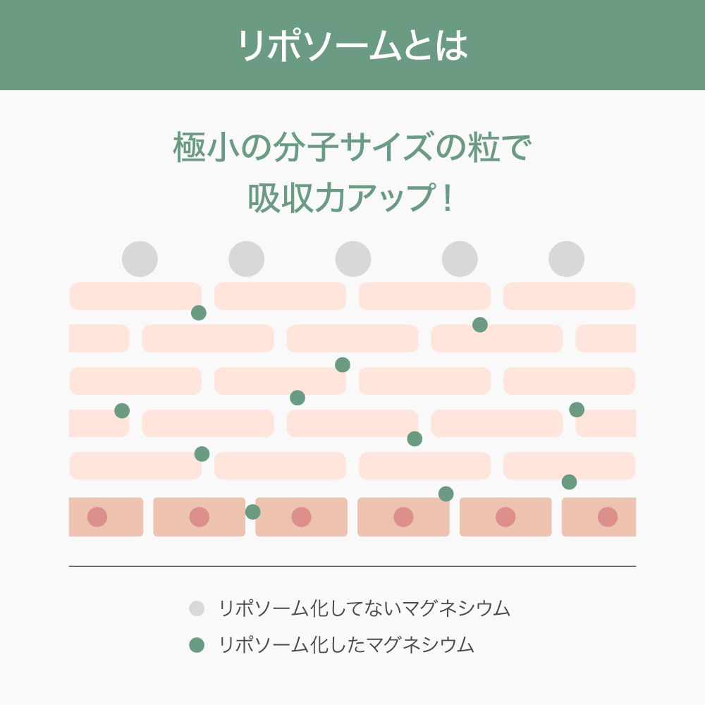 CBD バーム MG Cream + (マグクリームプラスCBD) 60g マグネシウム