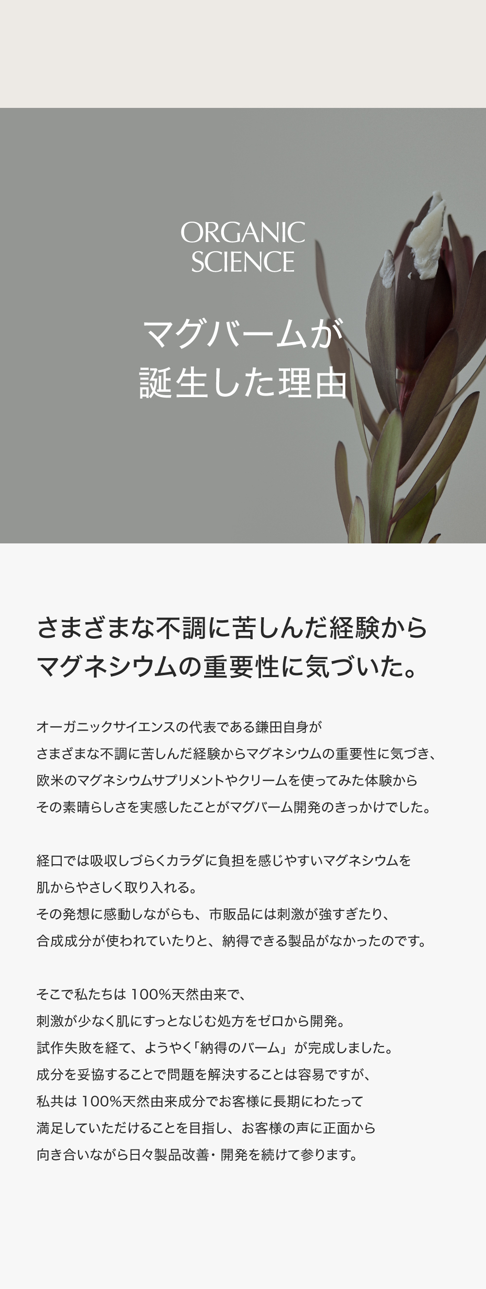 マグネシウムバーム マグバーム 2個 マグネシウムオイル マグネシウム