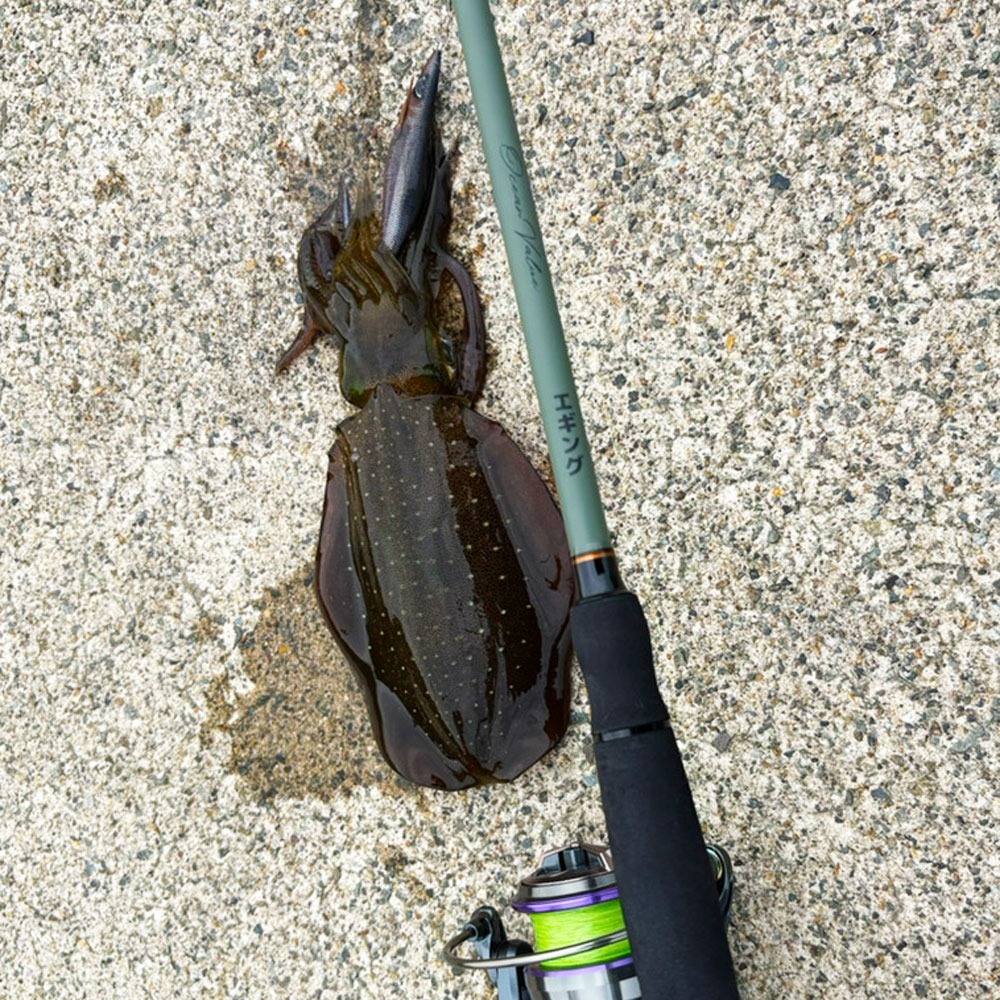 おり釣具 秋イカ攻略セット エギングロッド オーシャンバリュー