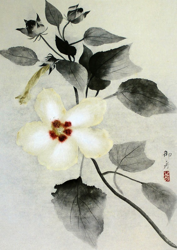 10.白芙蓉