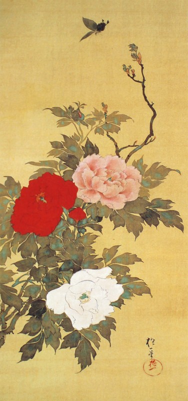 25.十二ヶ月花鳥図(四月牡丹に蝶図)