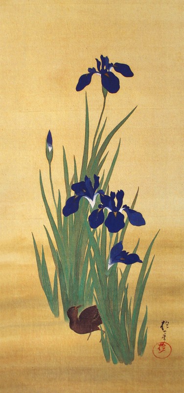 26.十二ヶ月花鳥図(五月燕子花に水鶏図)