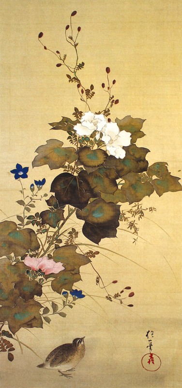 31.十二ヶ月花鳥図(八月芙蓉に鶉)