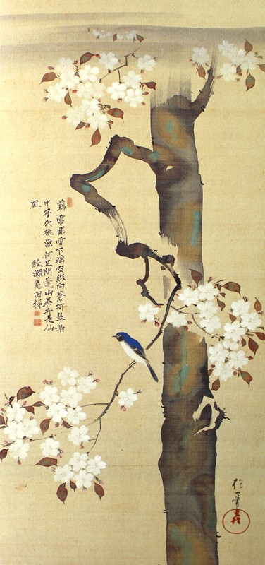 41.桜に小禽図