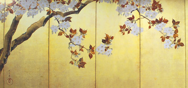 50.桜図屏風(左隻)