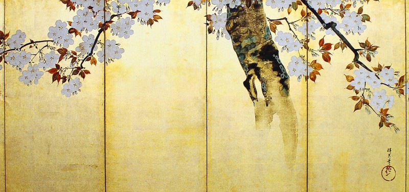 51.桜図屏風(右隻)