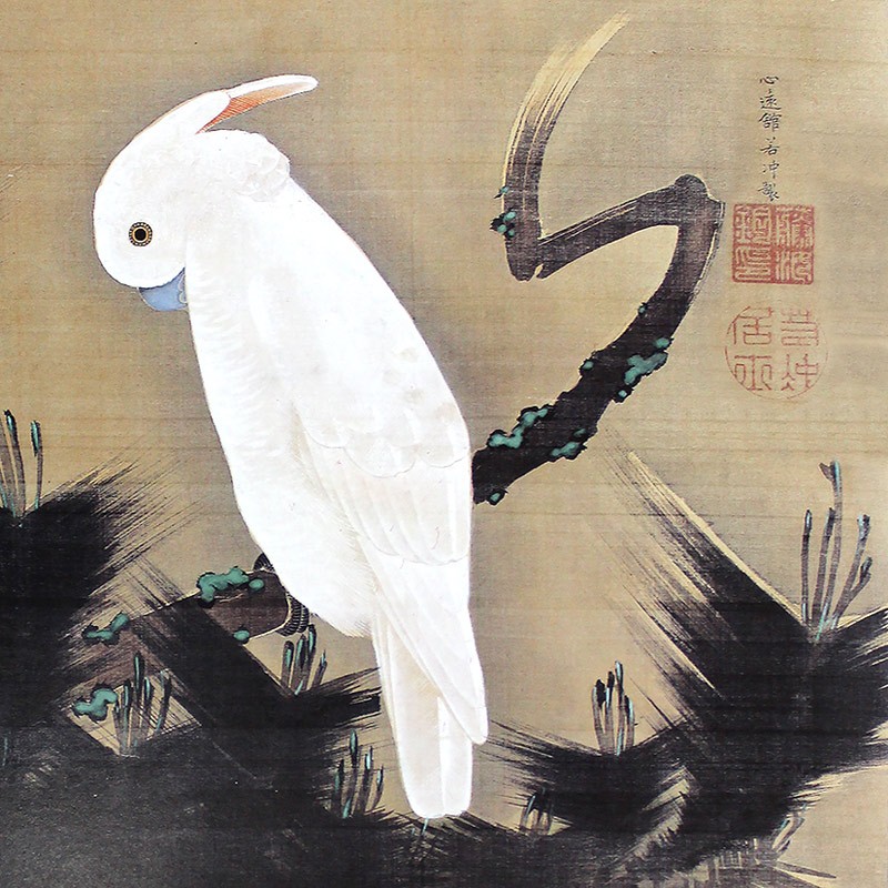 19.松に鸚鵡図1