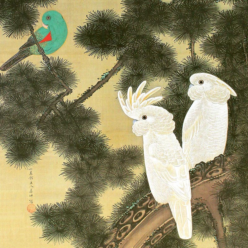 21.老松鸚鵡図
