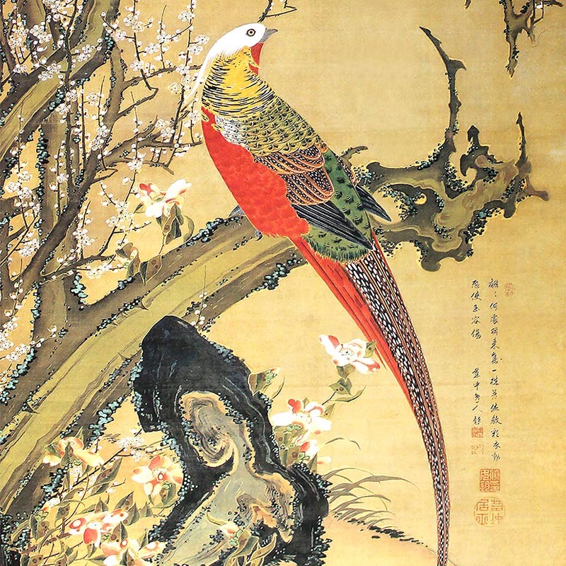 24.白梅錦鶏図