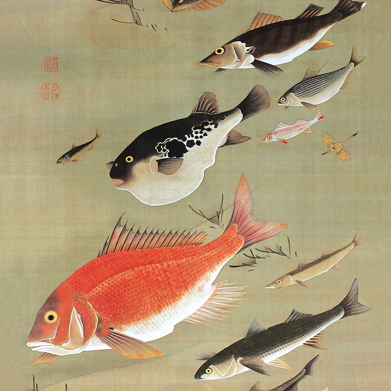 43.群魚図
