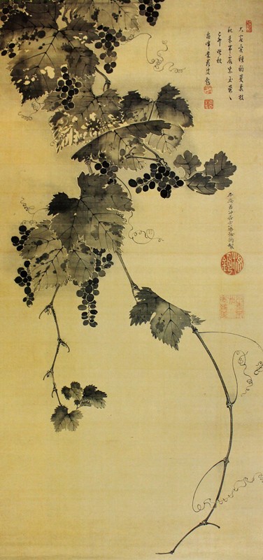 56.葡萄図