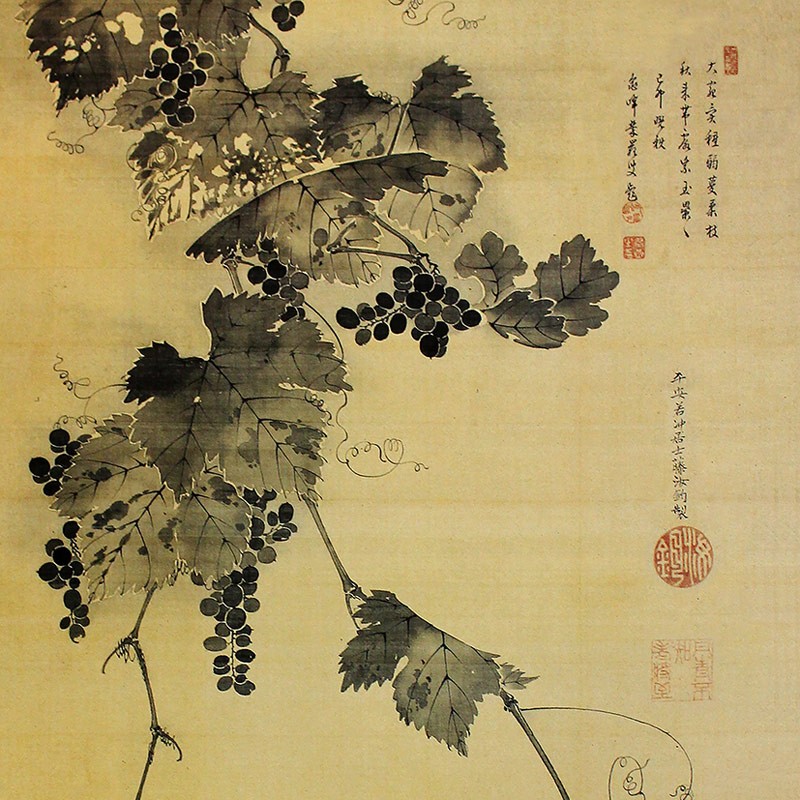 47.葡萄図
