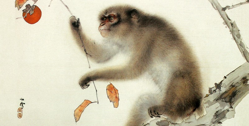 1.猿