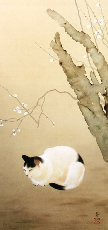 4.猫梅