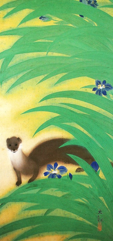 44.胡蝶花