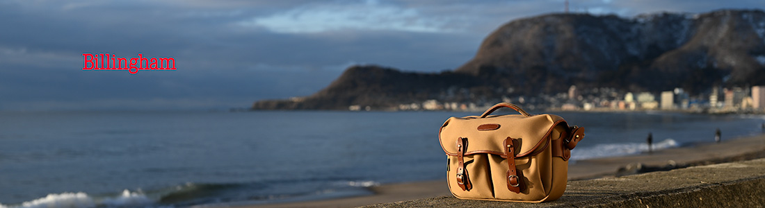 self-portrait PF25091PBUBURGUNDY 関税送料込 関税&送料込】Self-Portrait Bag (SELF PORTRAIT/ハンドバッグ