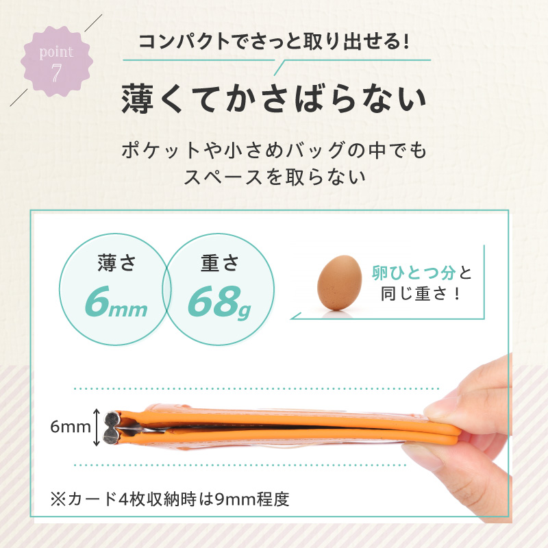 パスケース説明