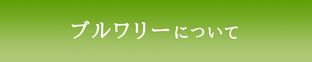 ブルワリーについて