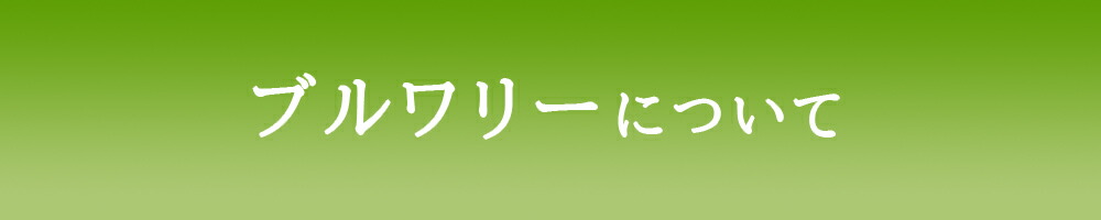 リードバナー