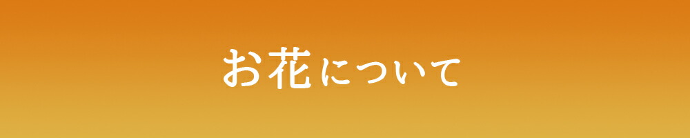 お花についてOR