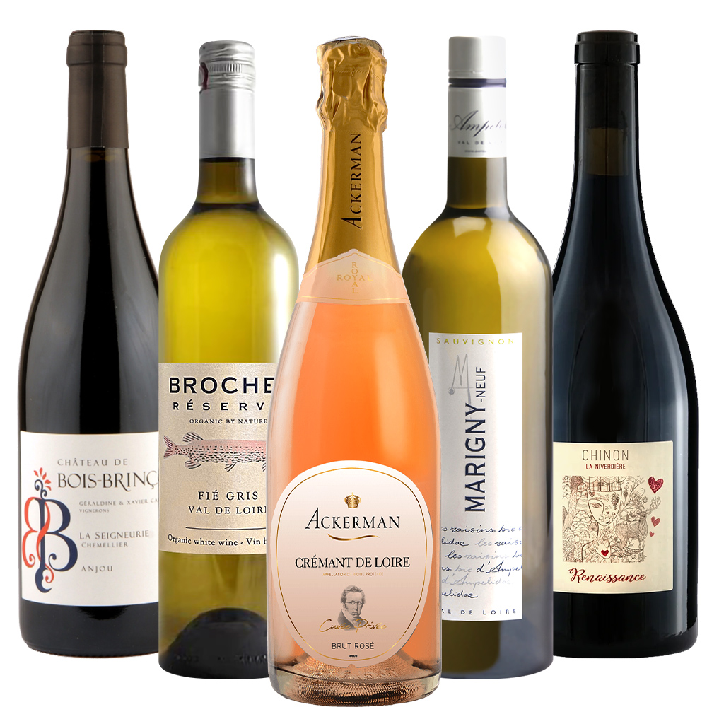 フランス ロワール ワイン 5本 自宅用 セット 赤 白 ビオ