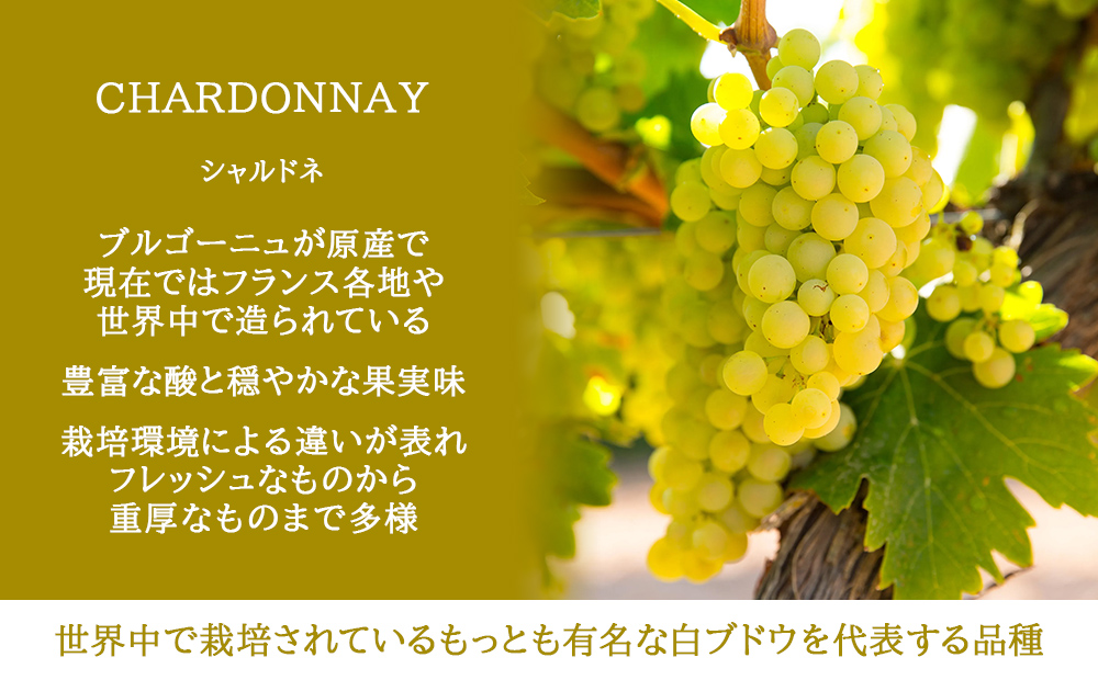 白ワイン
