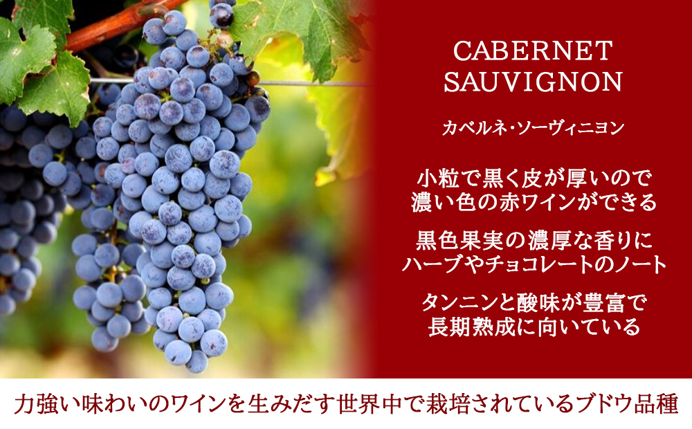 赤ワイン
