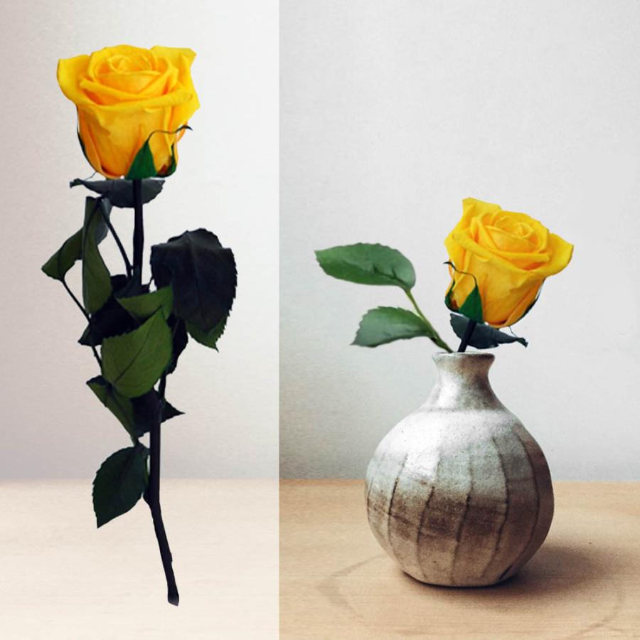 プレゼント 花 ギフト 酒 白ワイン ワイン ドイツ やや甘口 プリザーブドフラワー 黄色 バラ 一輪 男性 お祝い おしゃれ Og35 ワインとギフトの専門ストア 通販 Yahoo ショッピング プレゼント 花 ギフト 酒 白ワイン ワイン ドイツ やや甘口 プリザーブドフラワー 黄色 バラ 一輪 男性 お祝い おしゃれ Og35 ワインとギフトの専門ストア 通販 Yahoo ショッピング