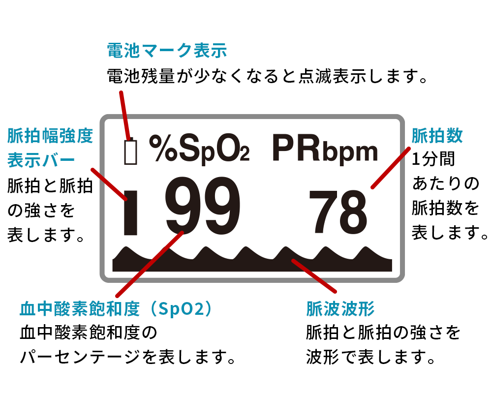 画面表示