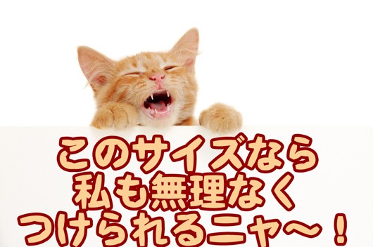 ペット用 ネームプレート 名札 名入れ 迷子札 毎日続々入荷 猫 mini 