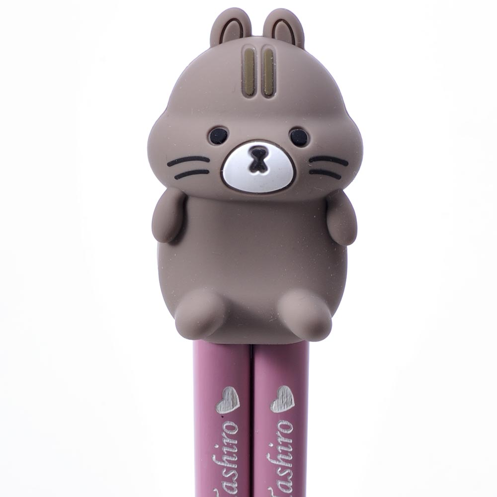 名入れ ギフト LXX 箸セット HASHIMALS 日本製 箸 21cm と アニマル