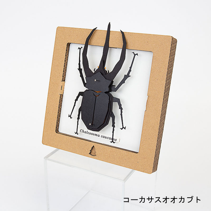 ペーパークラフト 昆虫 標本 工作 知育玩具 子供 人気 蝶々 クワガタ カブトムシ トンボ インテリア オブジェ おしゃれ ボグクラフト スクウェア