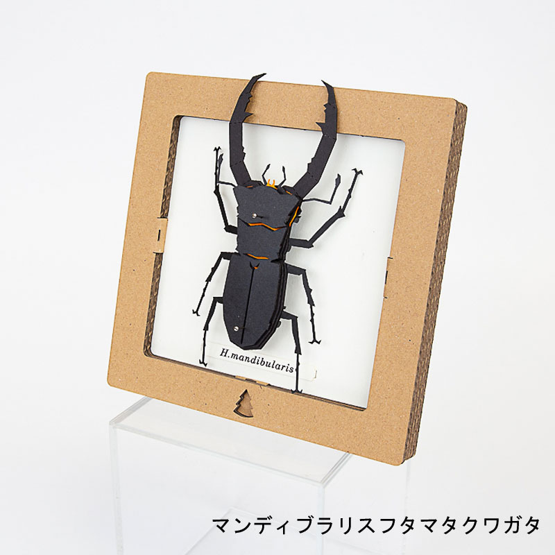 ペーパークラフト 昆虫 標本 工作 知育玩具 子供 人気 蝶々 クワガタ