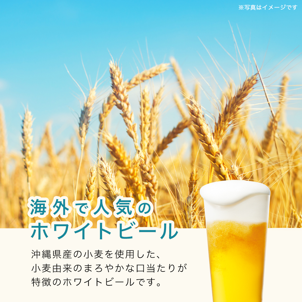 Amazon.co.jp: リキュール アサヒ オリオンビール ちゅらたいむ