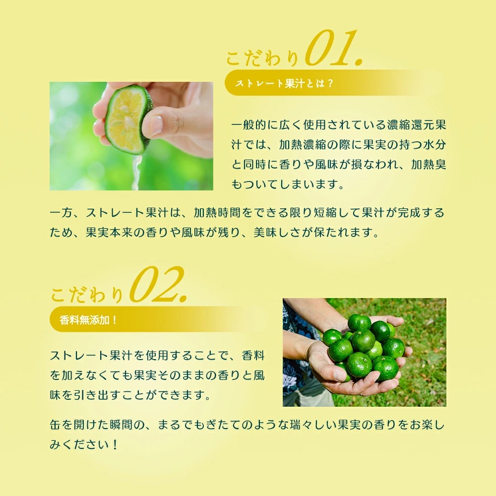 オリオン THE PREMIUM 2ケース分 さらに10%引(一部対象外)】 コンバース バスケットボール