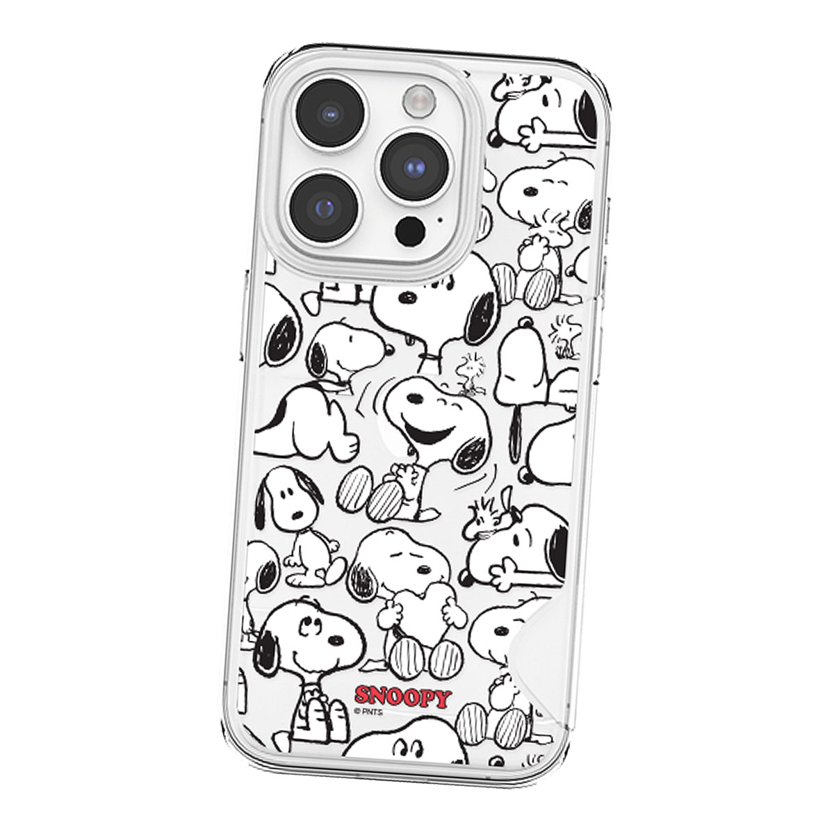 SNOOPY（スヌーピー） 【並行輸入品】 Snoopy Picnic Card Transparent