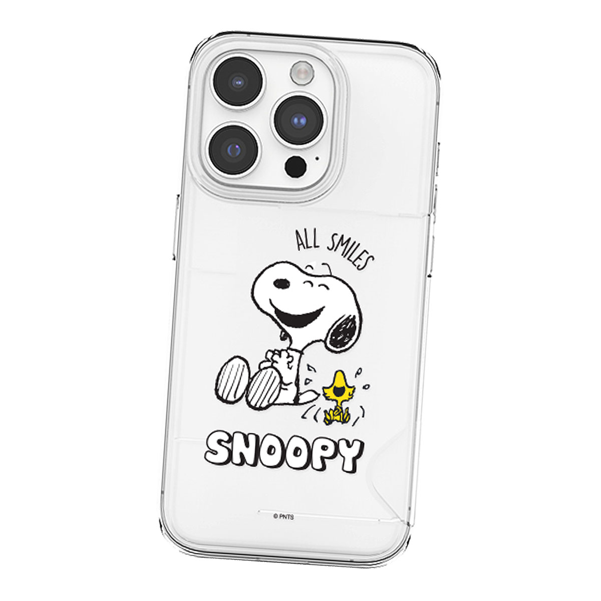 SNOOPY（スヌーピー） 【並行輸入品】 Snoopy Picnic Card Transparent