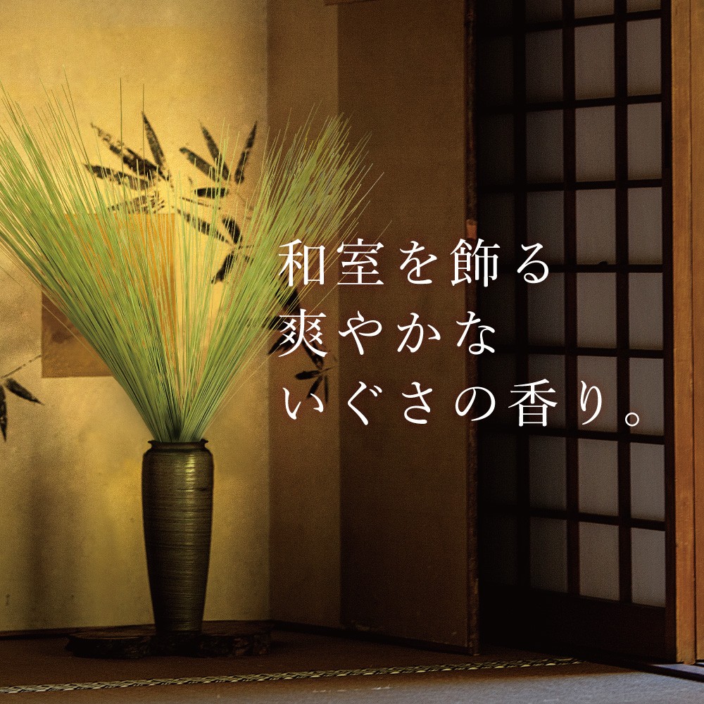 い草香る 香雅美草 和風飾りドライフラワー インテリア アイデア色々 滋賀県米原市 的場たたみ店 Buyee Buyee 日本の通販商品 オークションの代理入札 代理購入