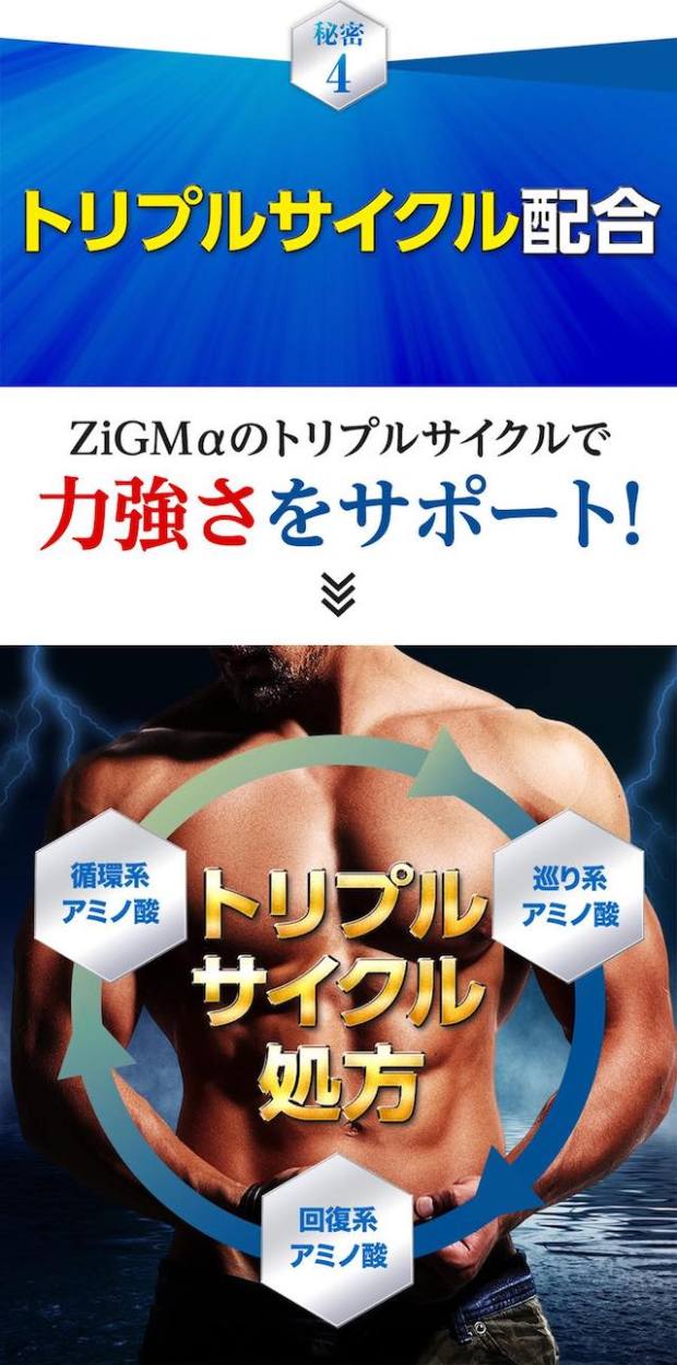 ZiGMα（ジグムアルファ）5袋（600粒/150日分）亜鉛600mg最高配合