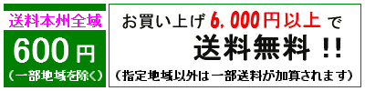 5400円で送料無料（地域限定）