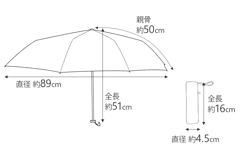 商品サイズ