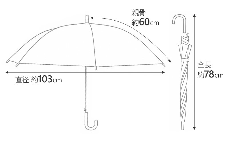 商品サイズ