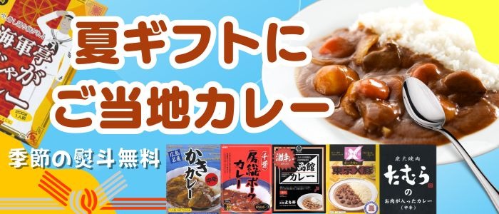 デリー カシミールカレー 2個セット DELHI レトルトカレー 食品A