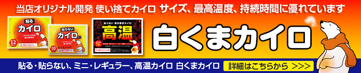 カイロまとめ買い * アイリス 国産 屋外専用カイロ 240個セット（1c/s