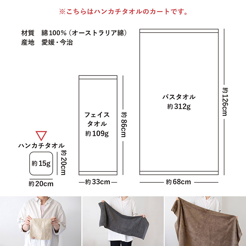 今治タオル（imabari towel） ハンカチタオル 3枚セット リゾート