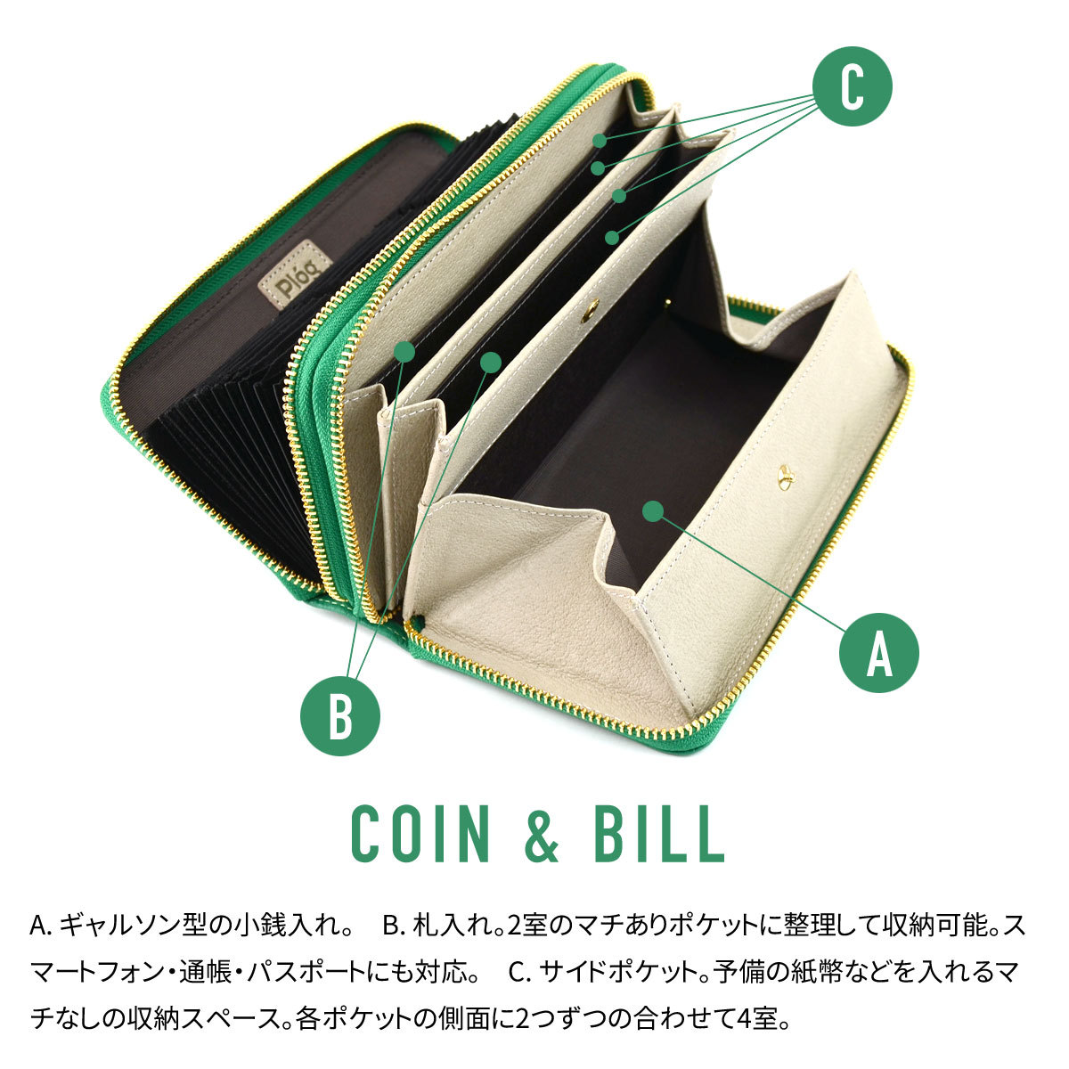 COIN & BILL
