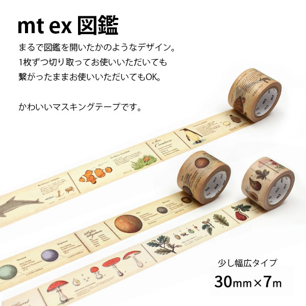 mt　ex　図鑑・鳥R　30mm×7m　｜osaihou｜04